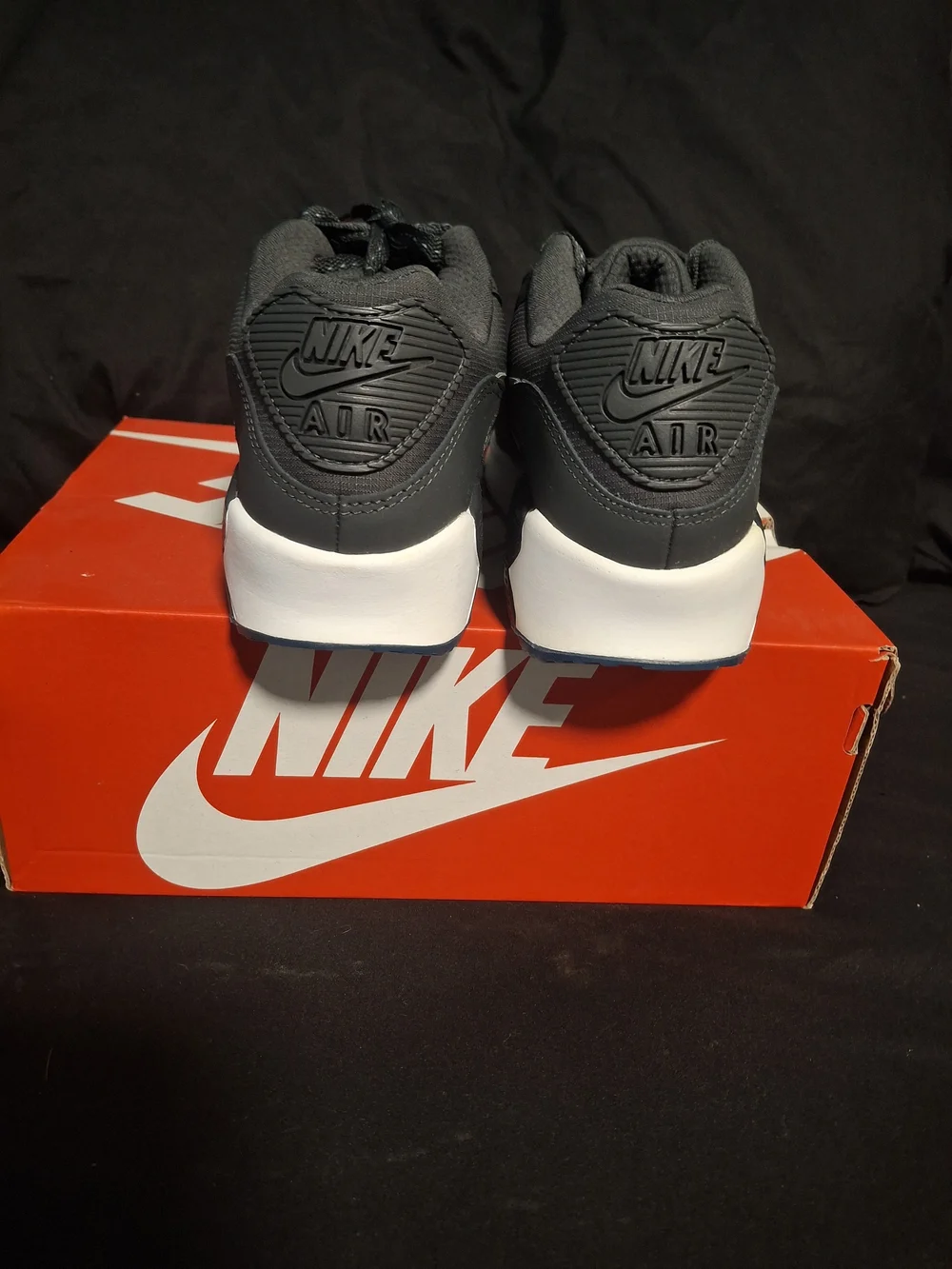 Nike Air Max Low Top Sneakers in Black and White